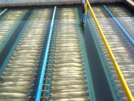 點擊查看詳細信息<br>標題：MBR膜生物反應器 閱讀次數：2560