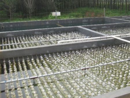 點擊查看詳細信息<br>標題：養殖污水處理 閱讀次數：4950